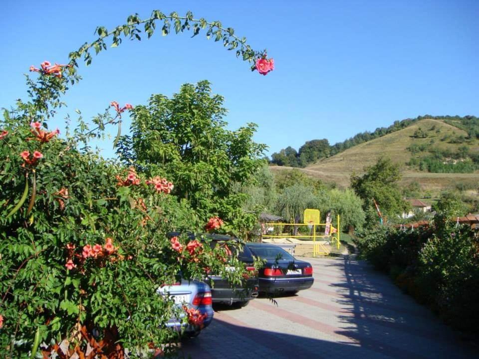 Holiday Vendeghaz Es Szabadidokert Jardanhaza Exterior photo